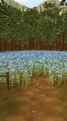 Flax