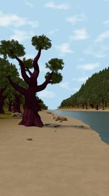 Ironwood