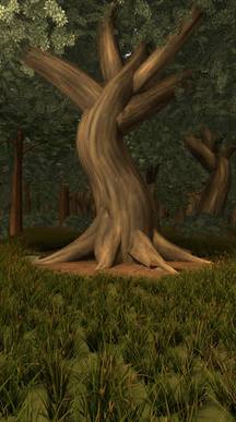 Oak